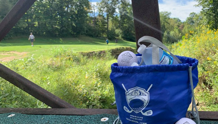 A bag filled with golf balls and a water bottle sits on a bridge in front of a grassy stretch of a golf course